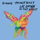 Illustration for article titled The best music of 2008: The Ballots